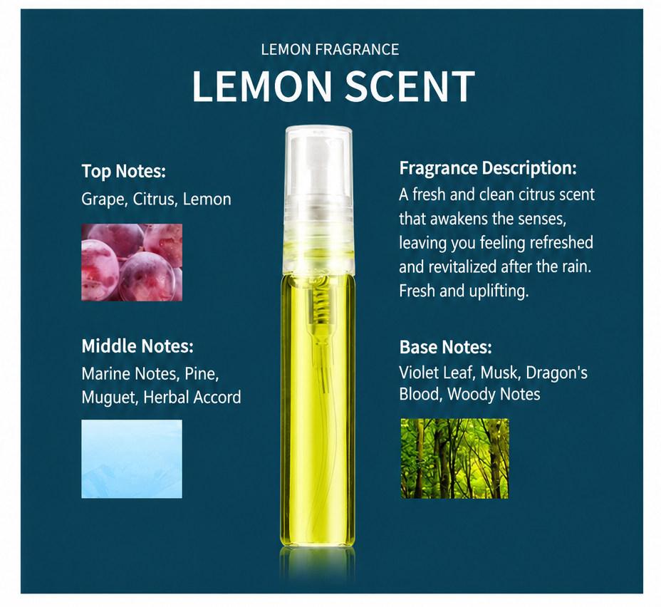 Premium Car Perfume Diffuser2