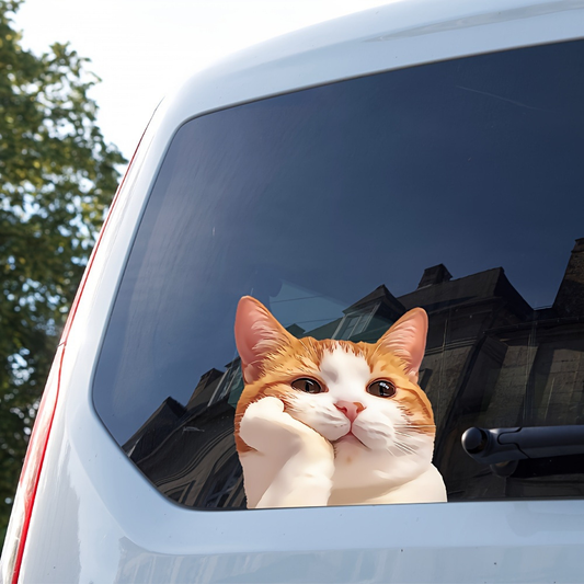 Orange-and-white cat decal on the rear window of a white car